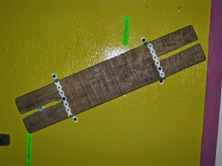 kayu perapat